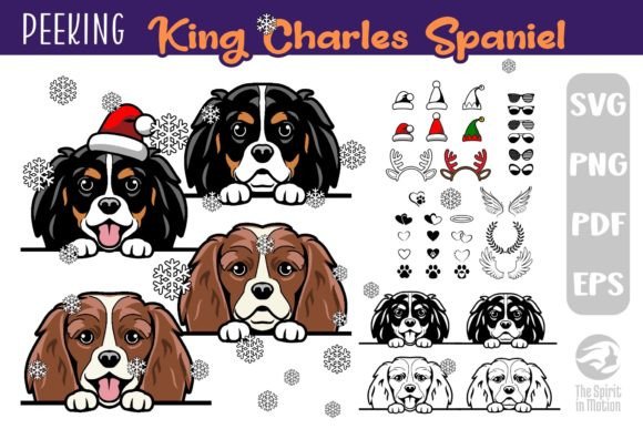 Download King Charles Spaniel PNG &amp; SVG Cutfiles - Cutfiles Collection