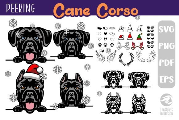 Download Cane Corso SVG, Clipart &amp; Cutfiles - Cutfiles Collection